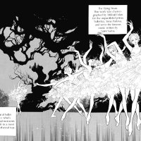 Shoujo Crave on X: Absolute-classic ballet manga Swan is getting an official artbook for the first time This manga has some of the most beautiful and detailed panels in shoujo history and
