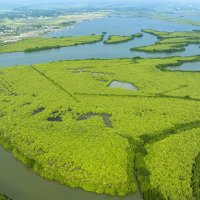 Tamil Nadu Wetlands Mission
