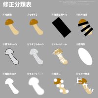 File:Censorship in japanese porn manga classification table.jpg