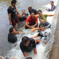 Jungle mein Mangal